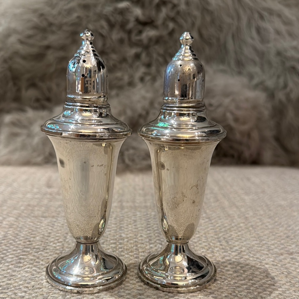 Elegant Silver Salt and Pepper Shakers